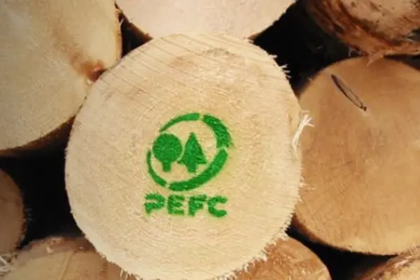 چرا گواهینامه‌های FSC و PEFC برای صنعت کاغذ مهم هستند؟