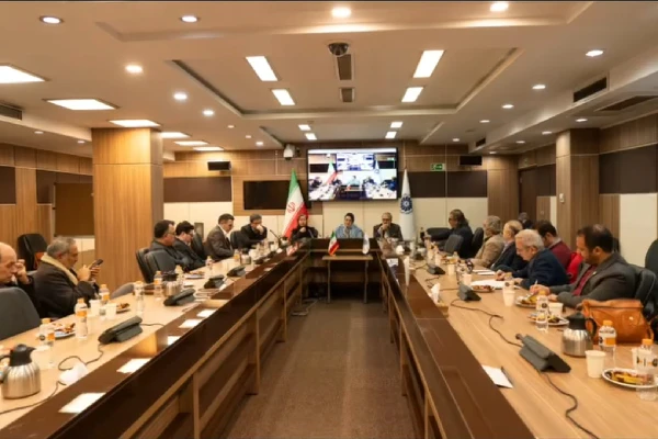 نقدی به اجرای ناقص تحول دیجیتال