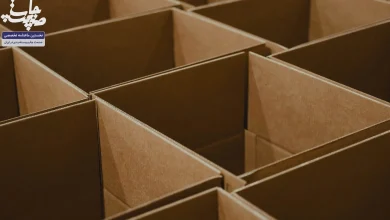 وقتی کارتن‌ها حرف می‌زنند.