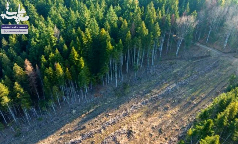 فشارهاي صنعت چاپ بر مقررات منع جنگل‌زدايي اتحاديه اروپا