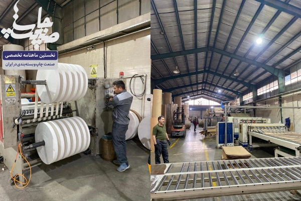 پادشاه بسته‌بندی فست‌فود: کيفيت ظروف؛ سلامت غذا و اعتبار کافه‌ها