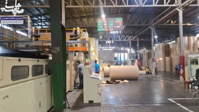 کارتن توحید