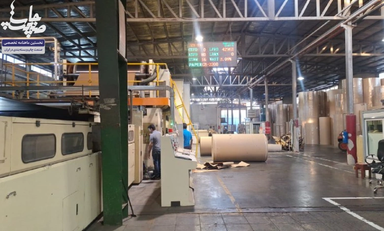 کارتن توحید