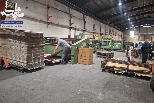 کارتن توحید