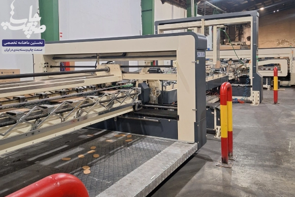 کارتن توحید