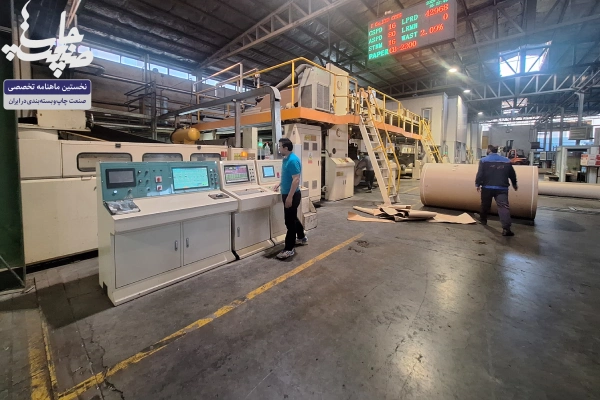 کارتن توحید