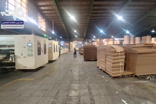 کارتن توحید