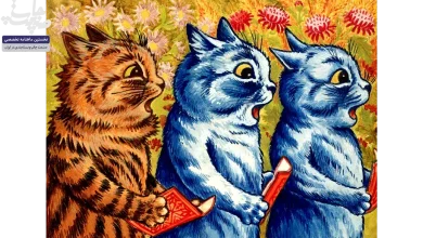 Cats commented